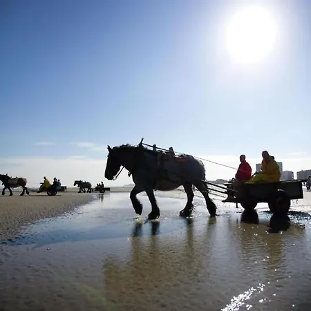 아파트 In Near Sandy Beaches, Cleaning Included